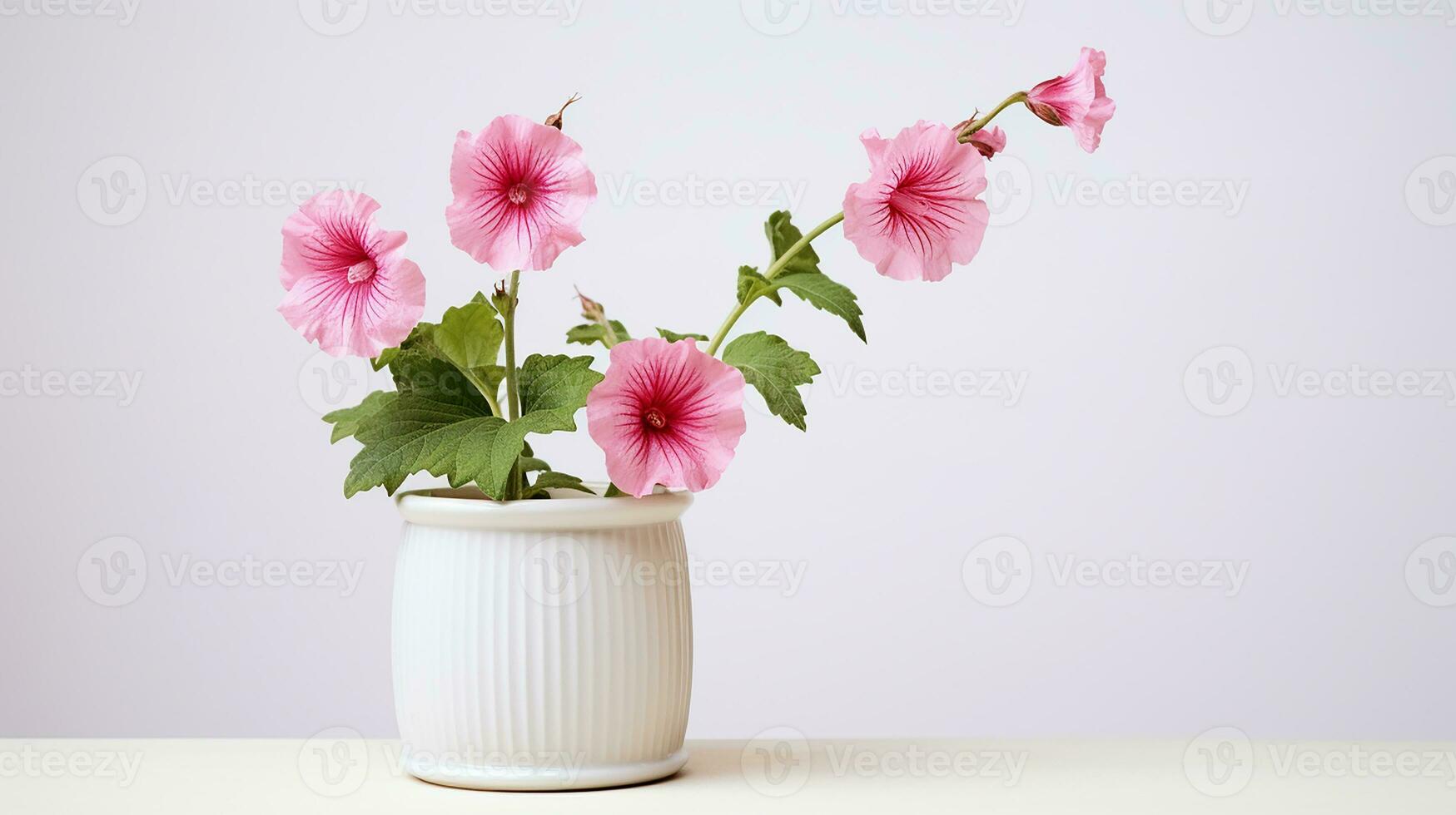 foto do malva-rosa flor dentro Panela isolado em branco fundo. generativo ai