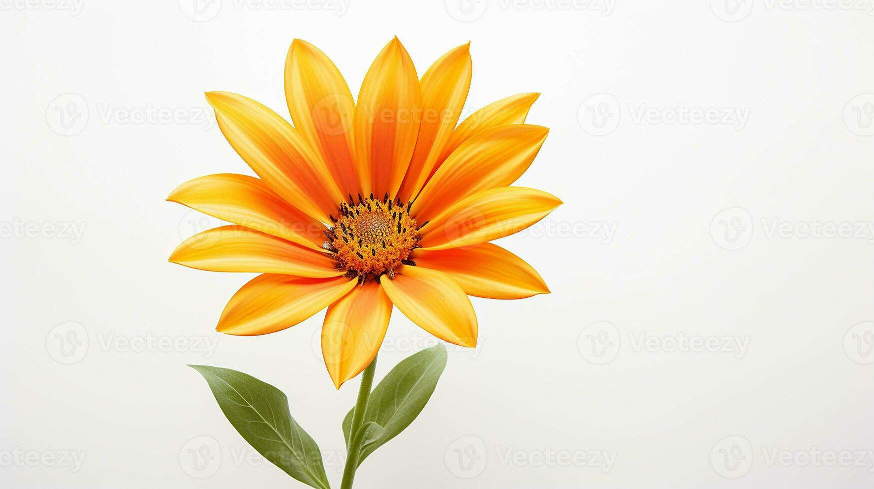 foto do lindo gazania flor isolado em branco fundo. generativo ai