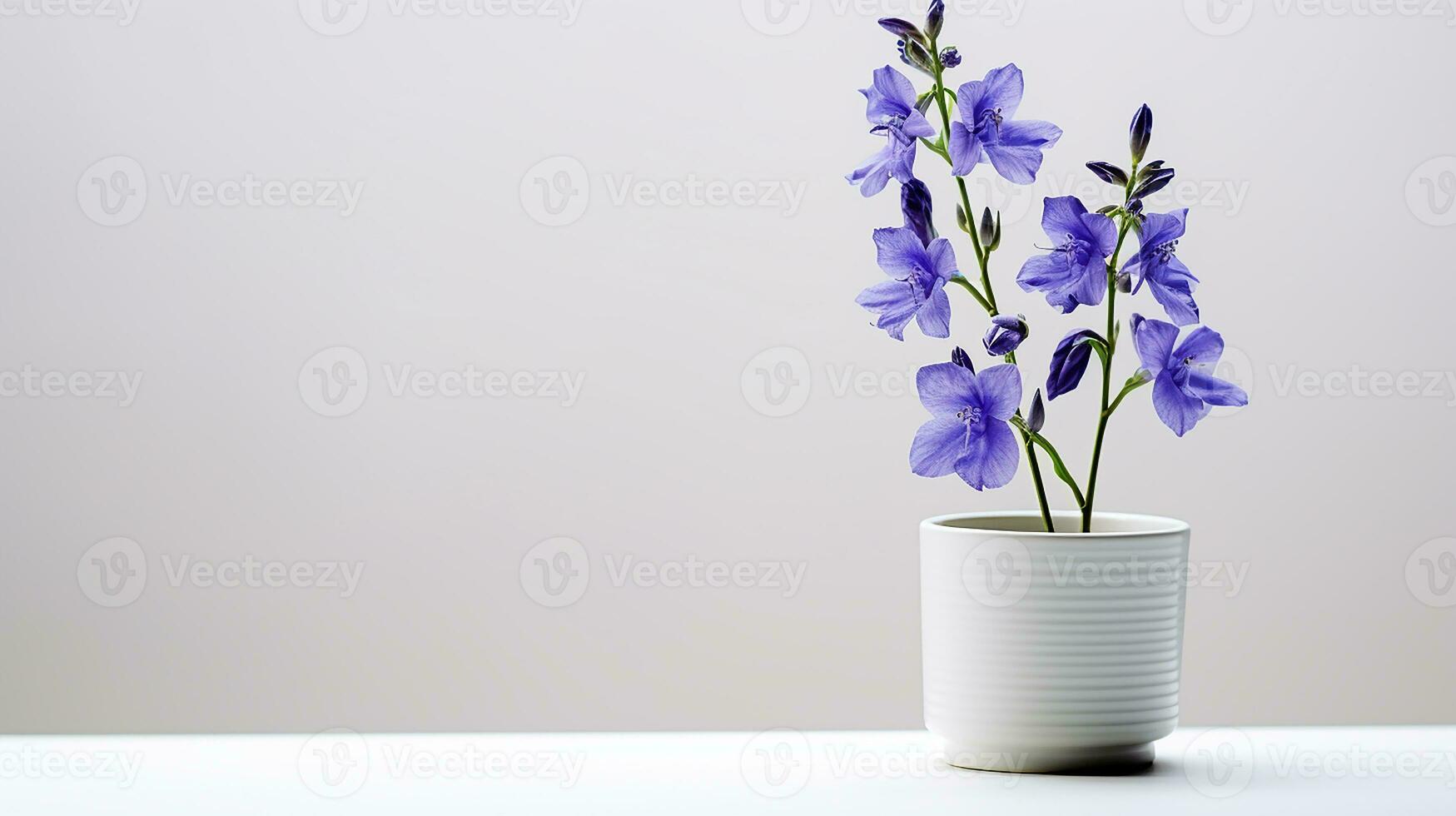 foto do Larkspur flor dentro Panela isolado em branco fundo. generativo ai