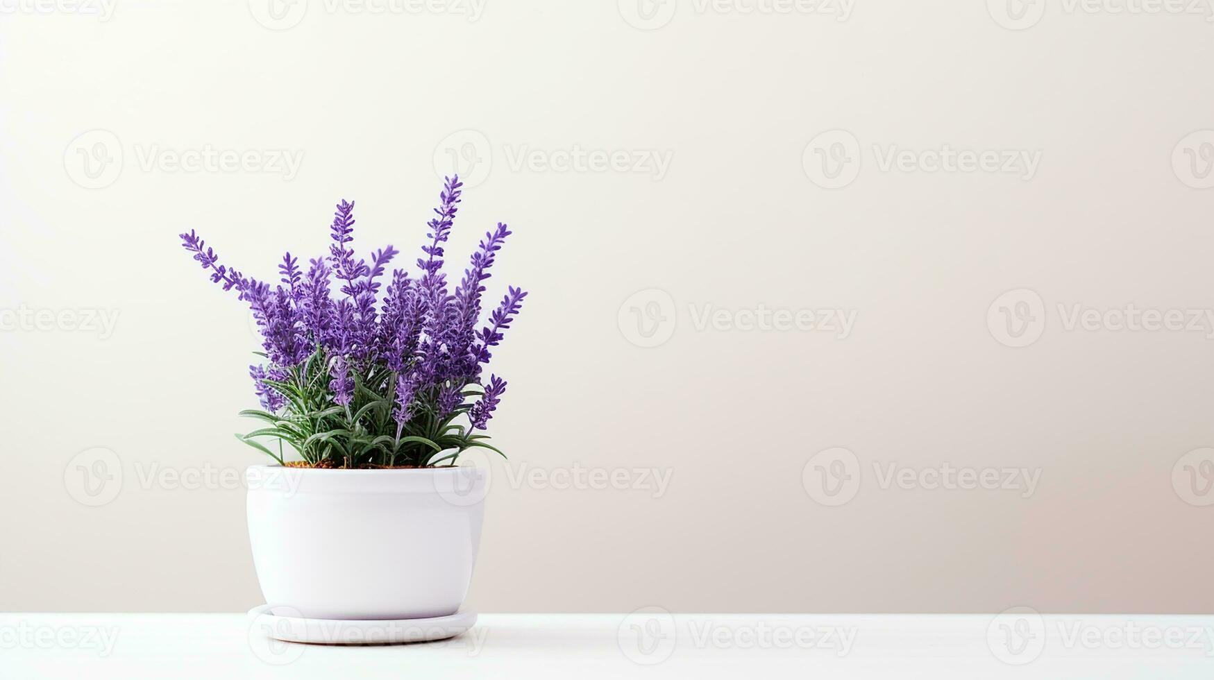 foto do lavanda flor dentro Panela isolado em branco fundo. generativo ai