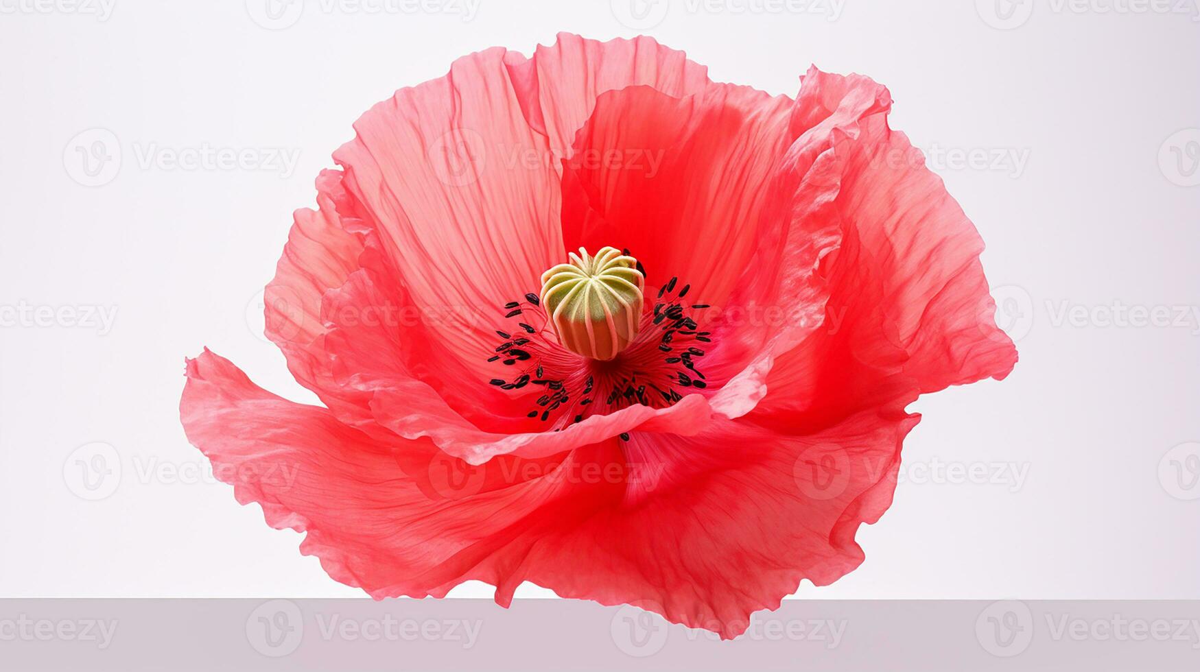 foto do lindo papoula flor isolado em branco fundo. generativo ai