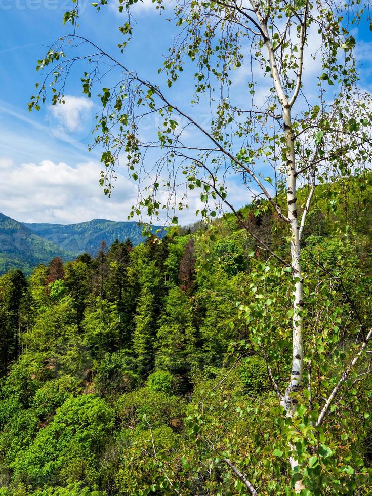 paisagens deslumbrantes dos vosges na França foto