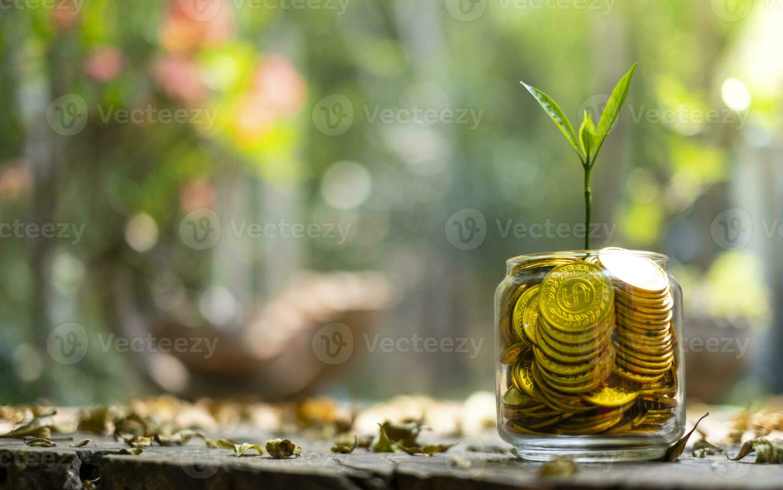 árvore com crescimento no cofrinho de vidro de pilha de moedas de ouro com fundo desfocado foto