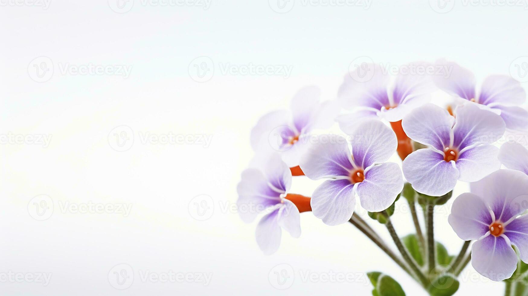 foto do lindo agrião flor isolado em branco fundo. generativo ai