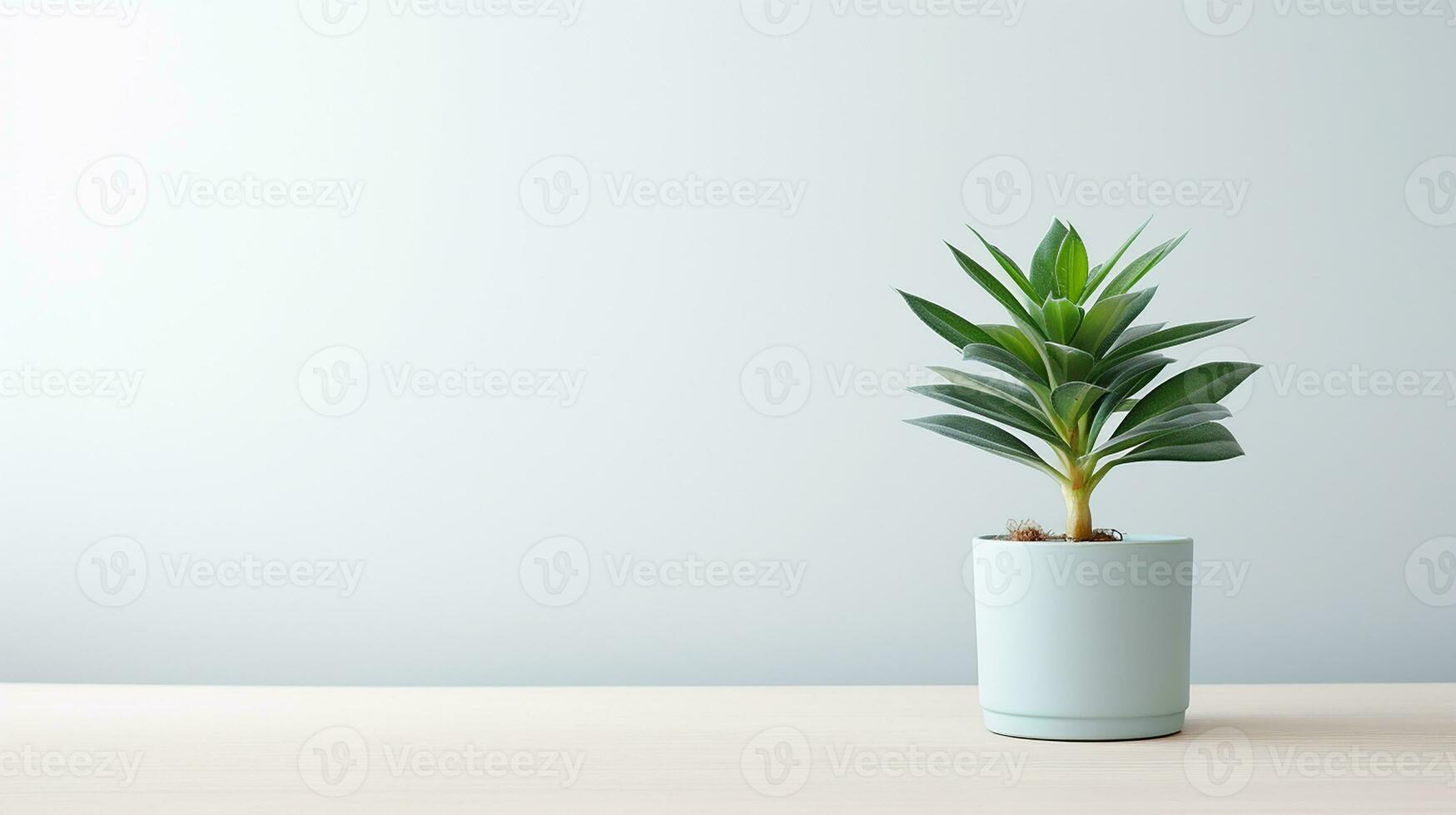 foto do cordeiros orelha flor dentro Panela isolado em branco fundo. generativo ai