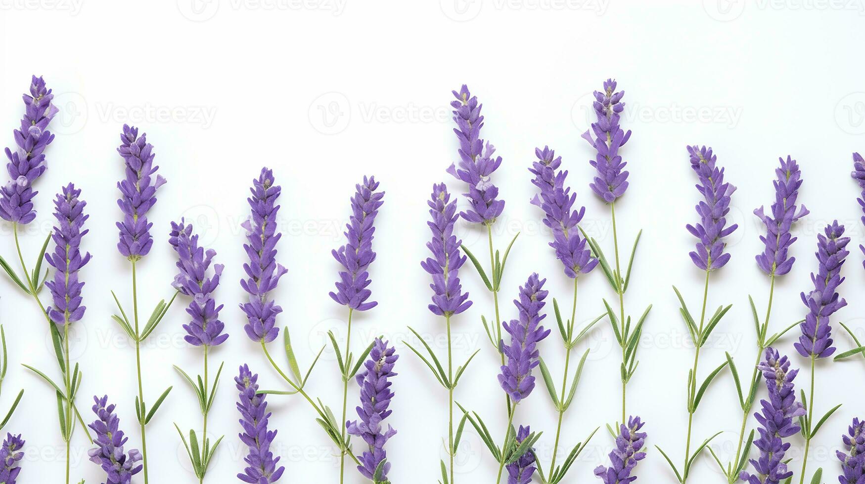 lavanda flor estampado fundo. flor textura fundo. generativo ai foto