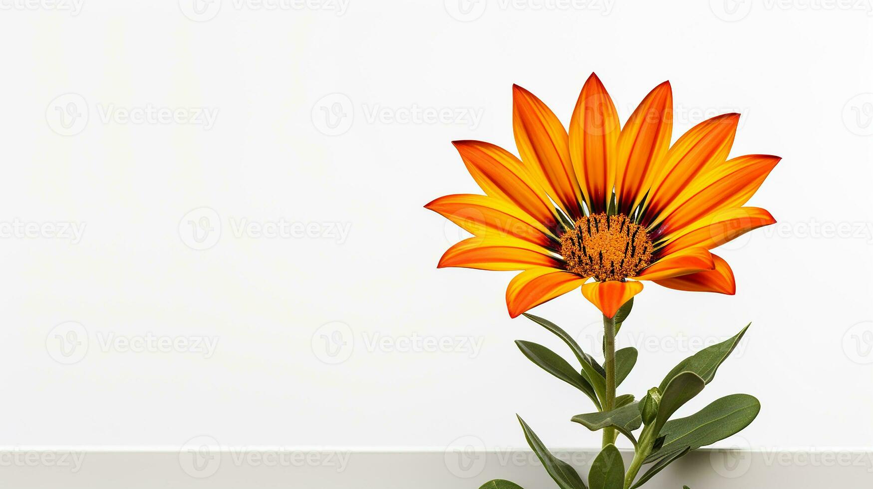 foto do lindo gazania flor isolado em branco fundo. generativo ai