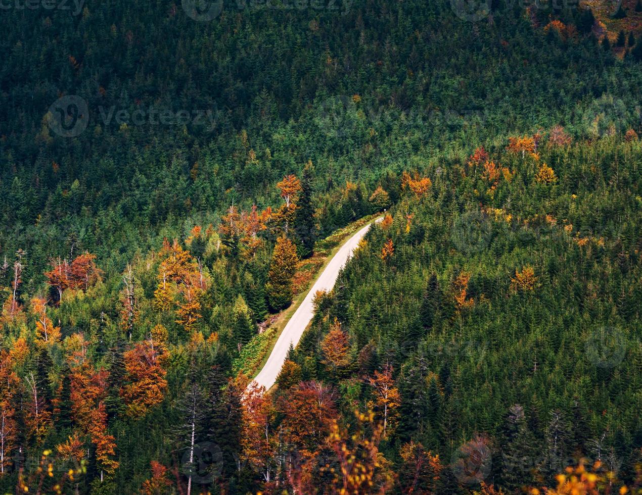 vista do topo da montanha até as montanhas vosges na Alsácia, França foto