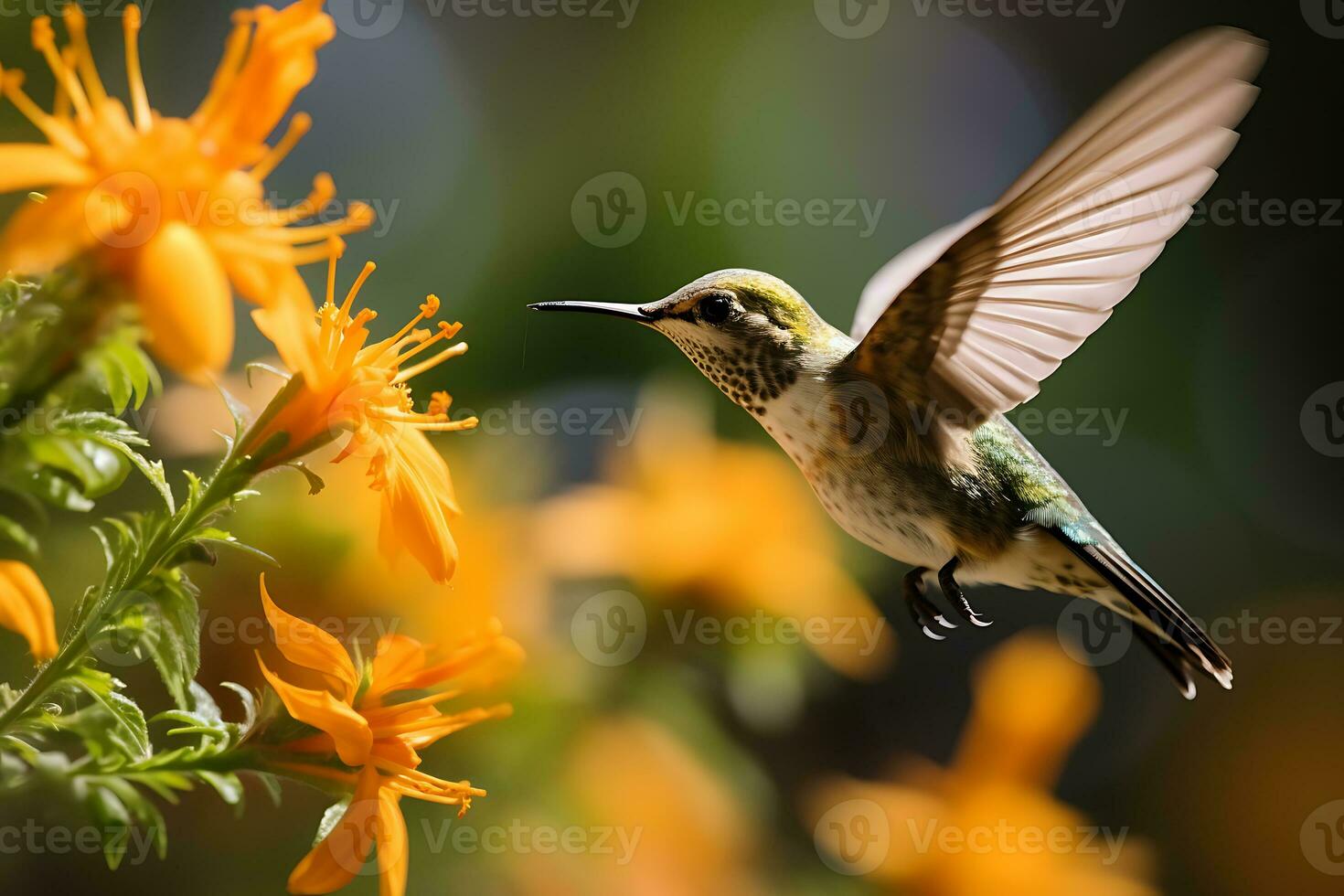 beija Flor vôo e espalhar seus caudas sobre vibrante flores ai gerado foto