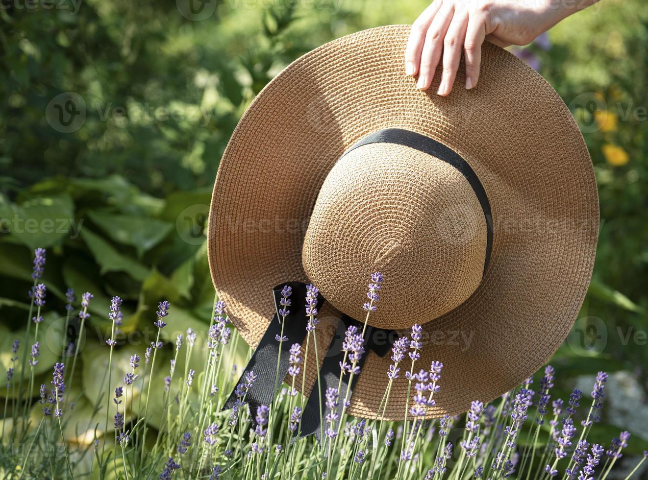 grande chapéu de palha nos arbustos de lavanda foto