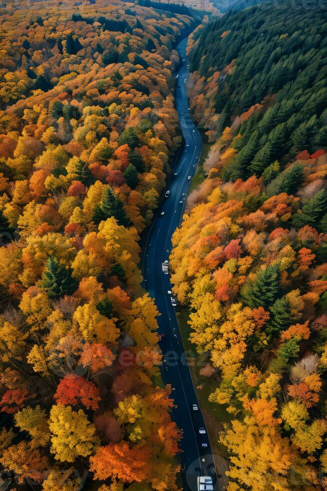 foto do a outono floresta zangão Visão