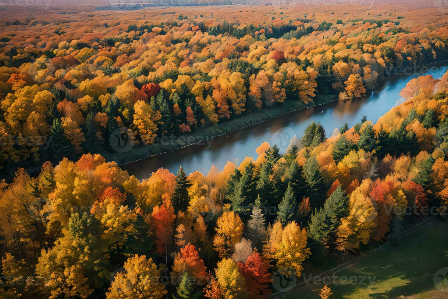 foto do a outono floresta zangão Visão