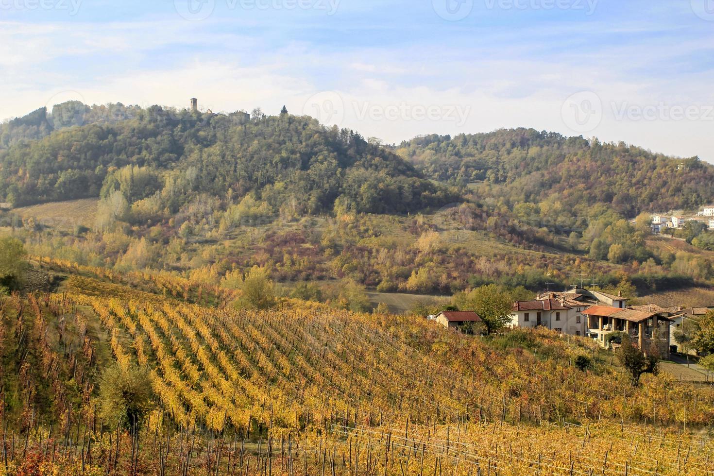 vinhas e campos do interior do Piemonte, Itália foto