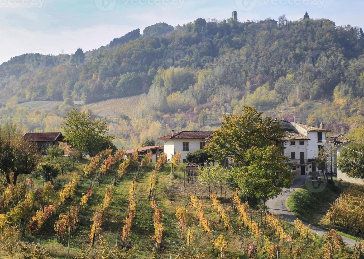 vinhas e campos do interior do Piemonte, Itália foto