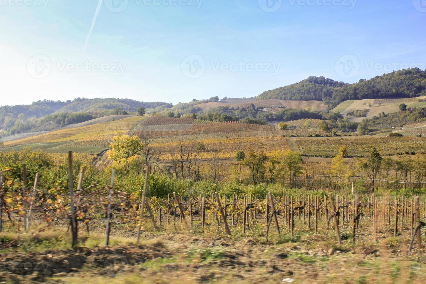 vinhas e campos do interior do Piemonte, Itália foto