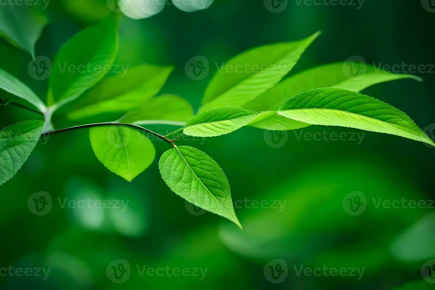 uma fechar acima do verde folhas em uma árvore. gerado por IA foto