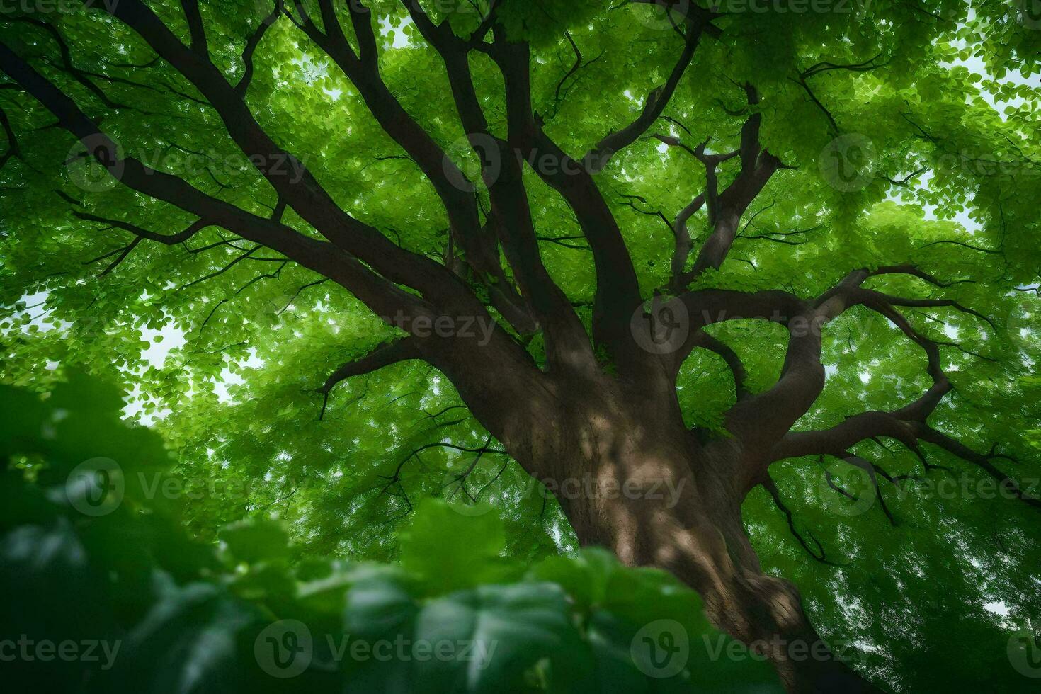 uma árvore é visto a partir de abaixo dentro uma verde floresta. gerado por IA foto