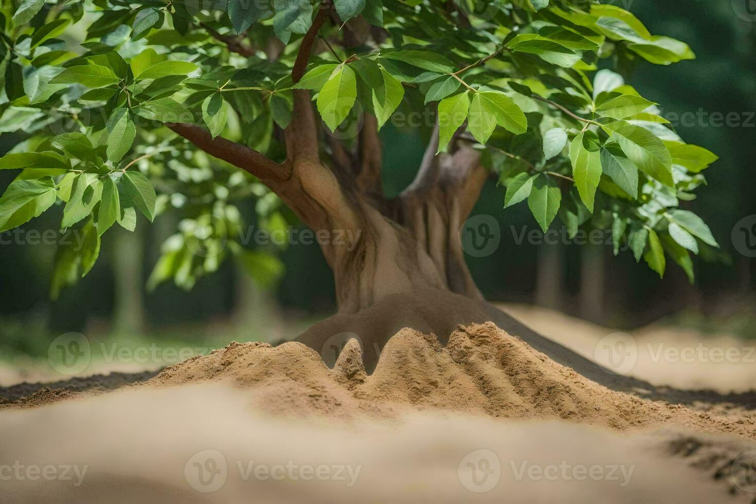 uma árvore com raízes crescendo Fora do a chão. gerado por IA foto