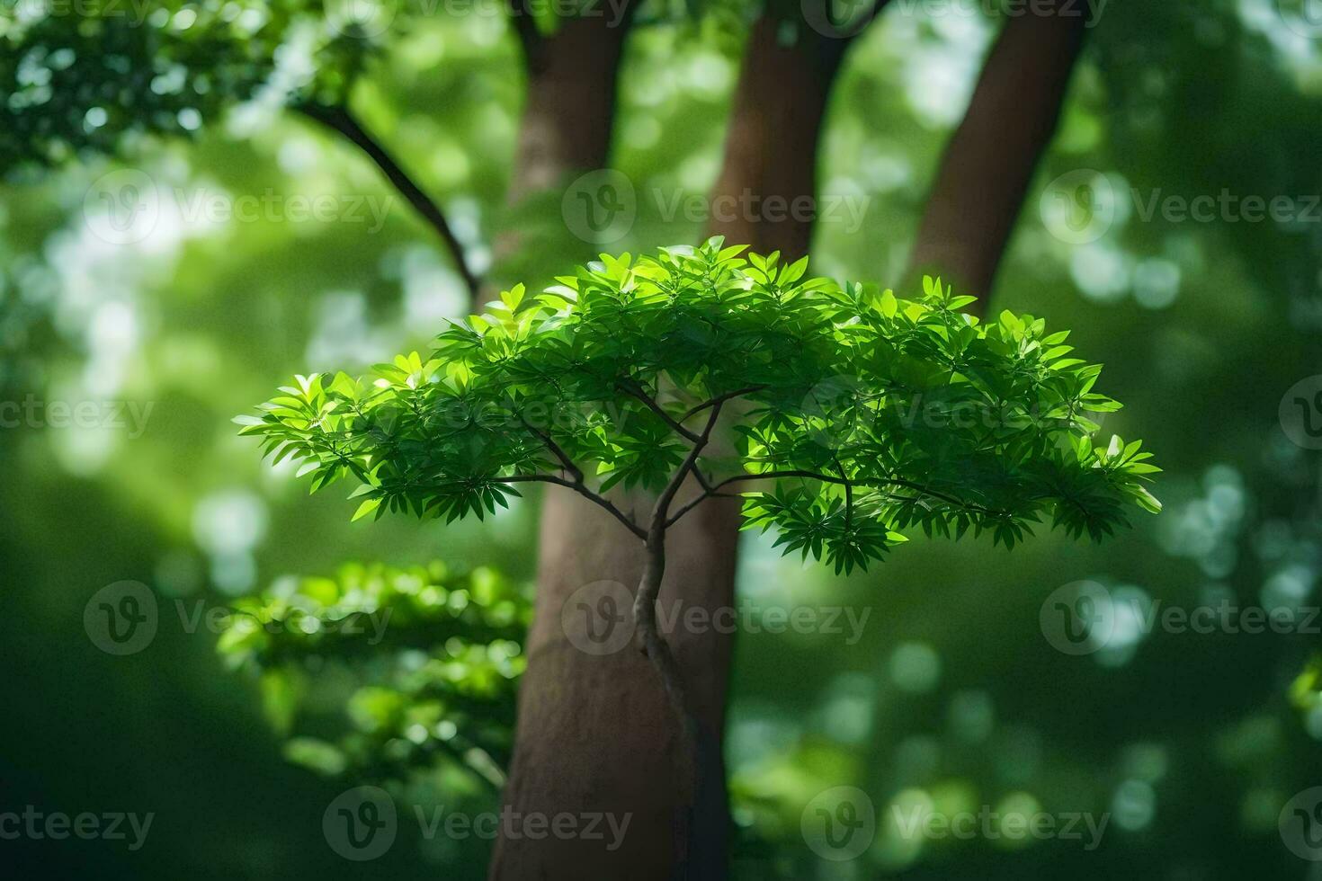 uma árvore com verde folhas dentro a floresta. gerado por IA foto