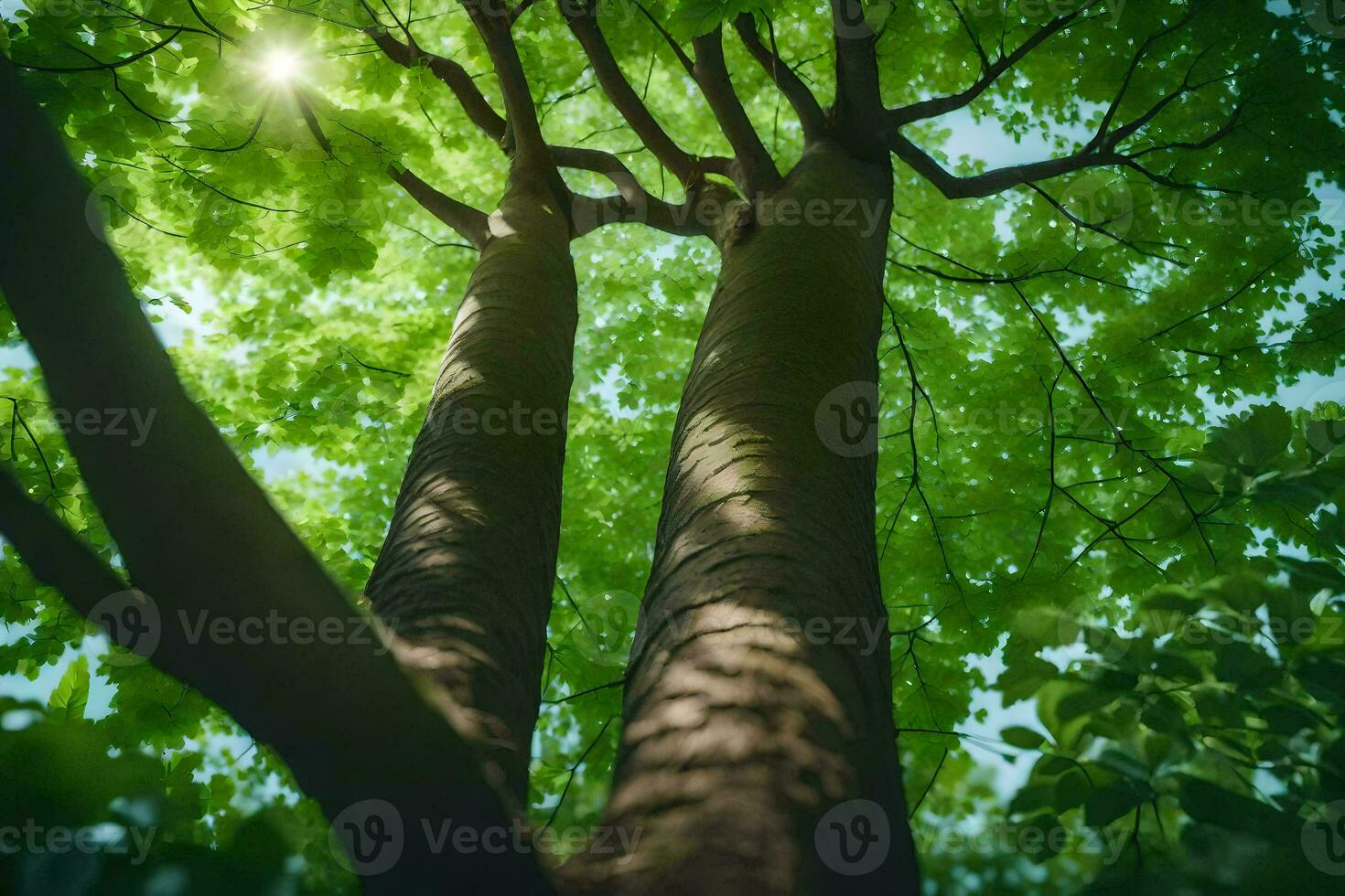 a Sol brilha através a folhas do uma árvore. gerado por IA foto