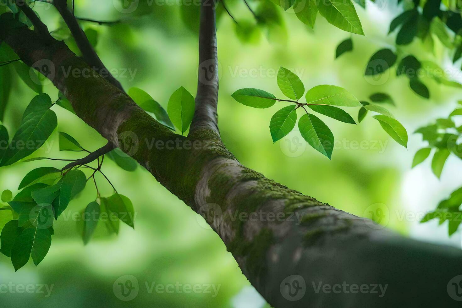 uma árvore ramo com verde folhas. gerado por IA foto