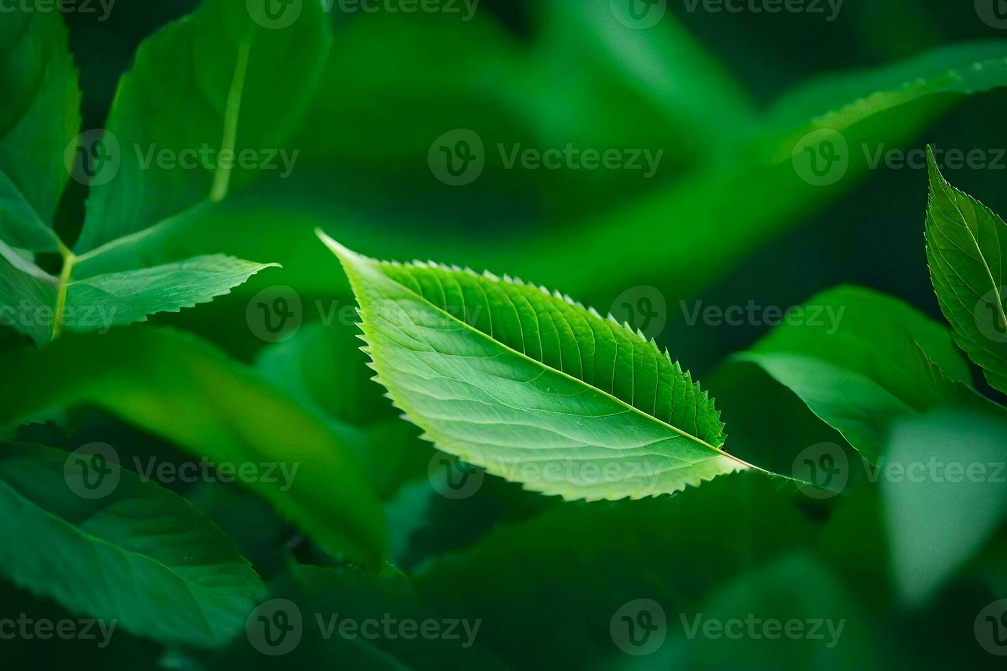 uma fechar acima do verde folhas em uma árvore. gerado por IA foto