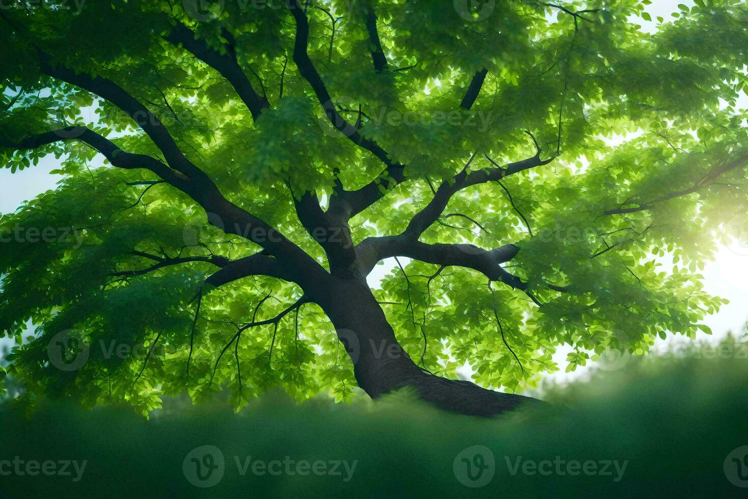 uma árvore é mostrando dentro a luz solar com verde folhas. gerado por IA foto