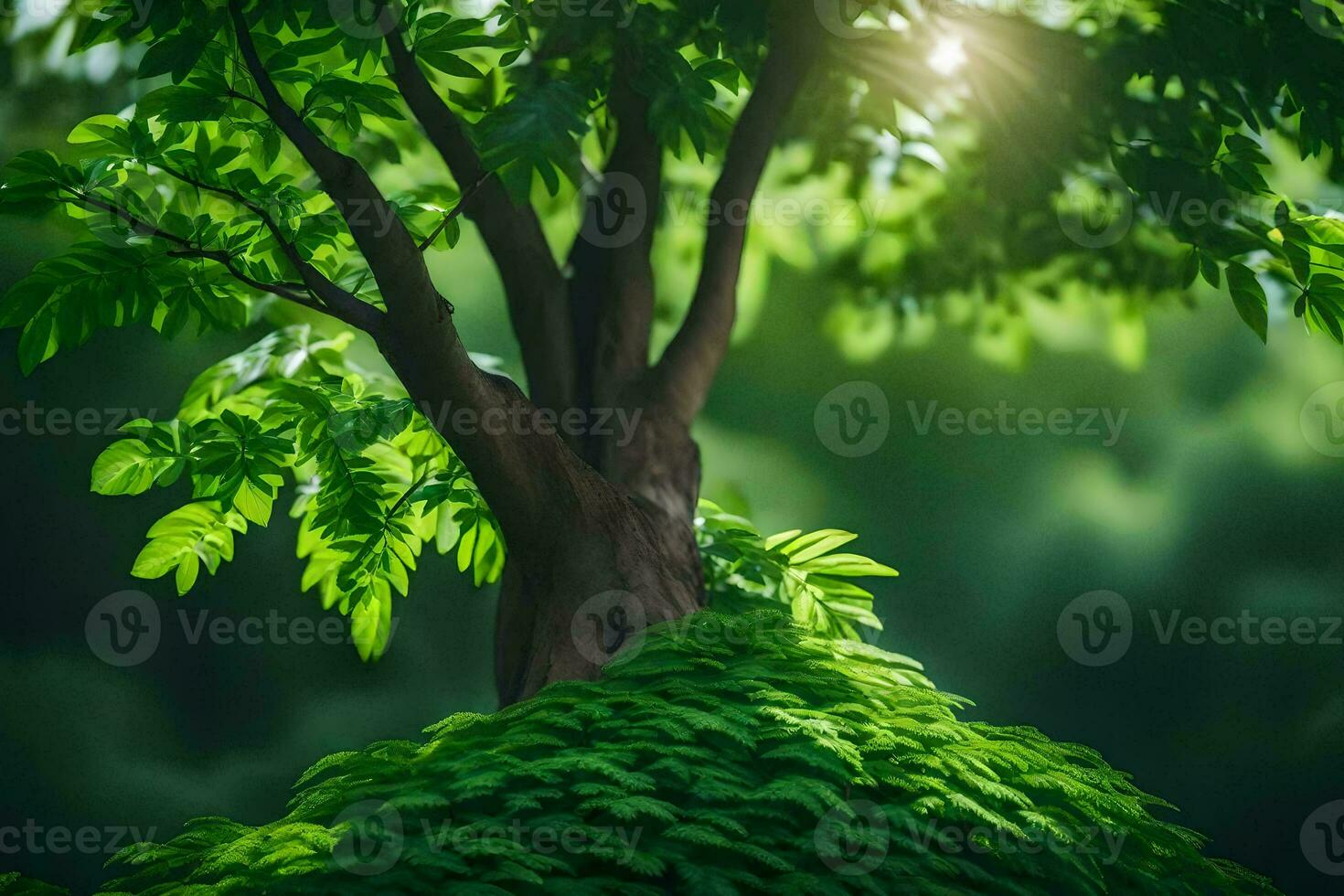 uma árvore com verde folhas e luz solar brilhando através. gerado por IA foto