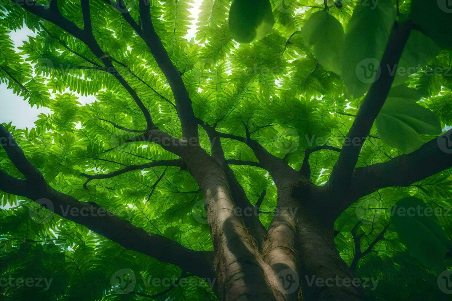 uma árvore com verde folhas e luz solar brilhando através. gerado por IA foto