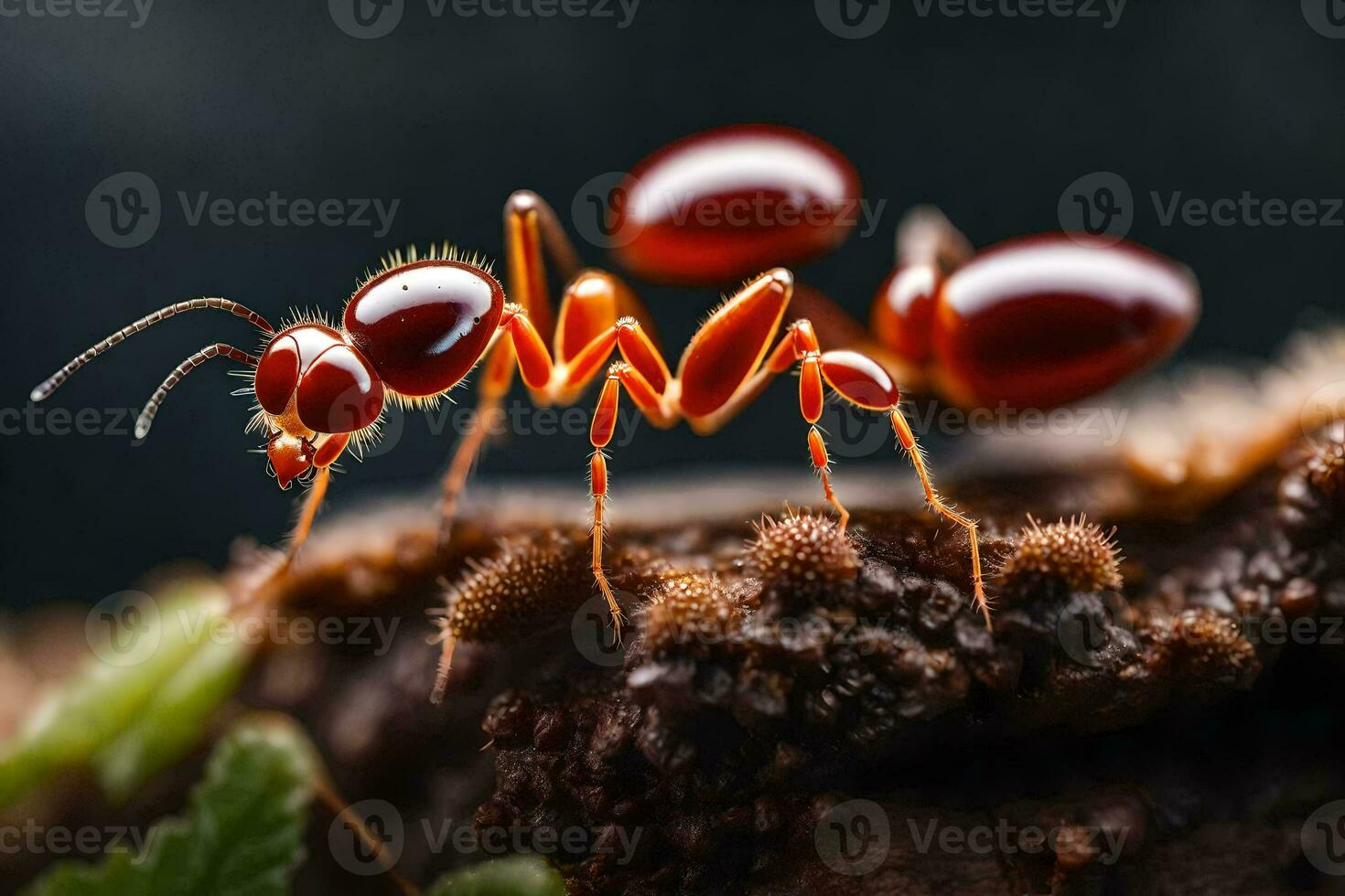 a formiga é em pé em topo do uma plantar. gerado por IA foto