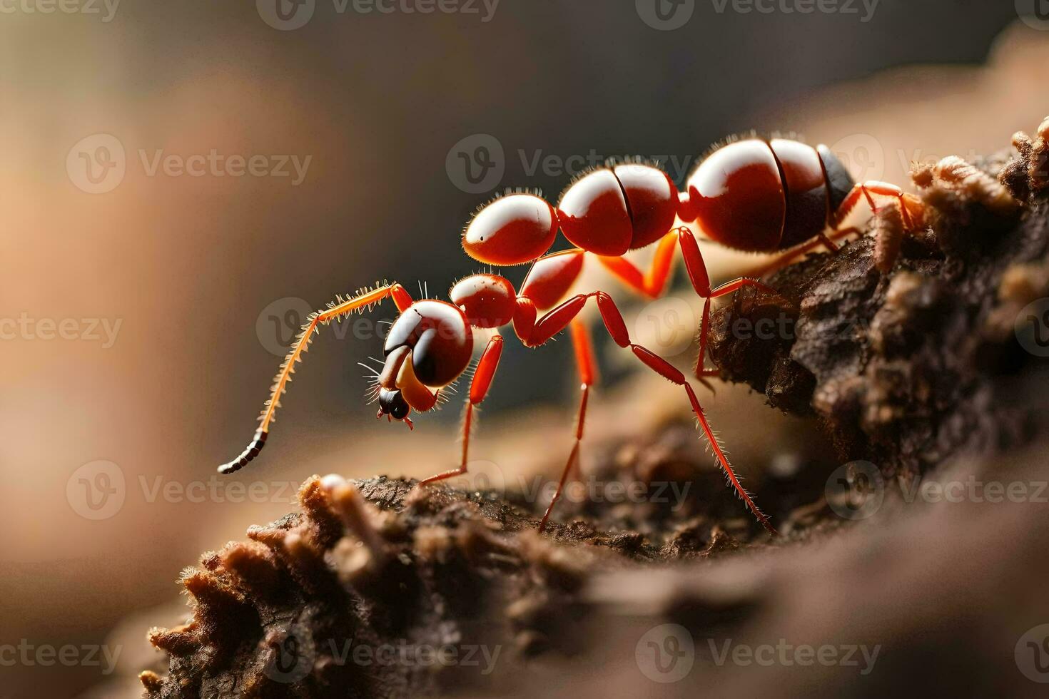 uma vermelho formiga é em pé em topo do uma registro. gerado por IA foto