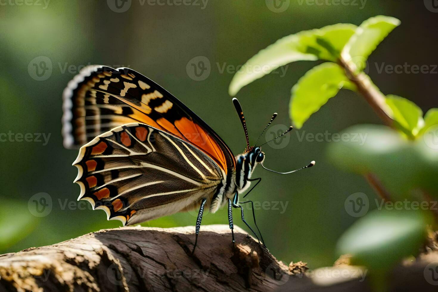 uma borboleta é sentado em uma registro dentro a floresta. gerado por IA foto