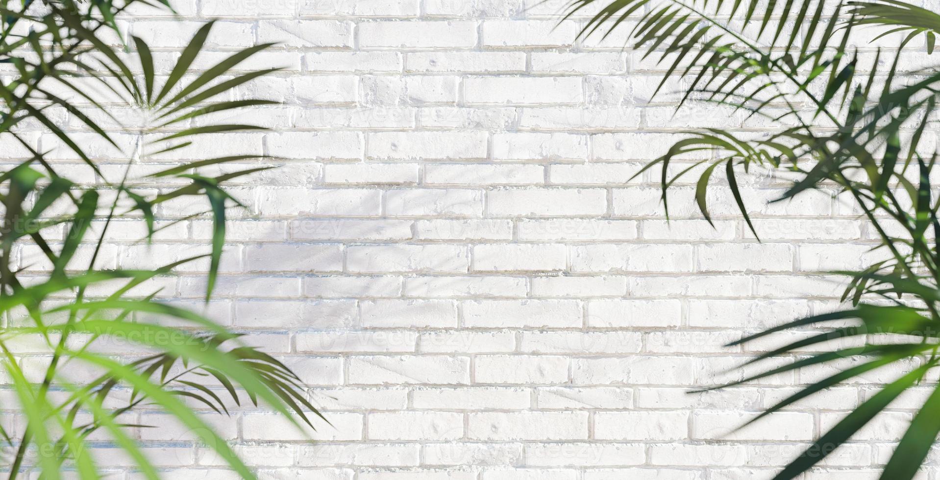parede de tijolo branco com folha de palmeira foto