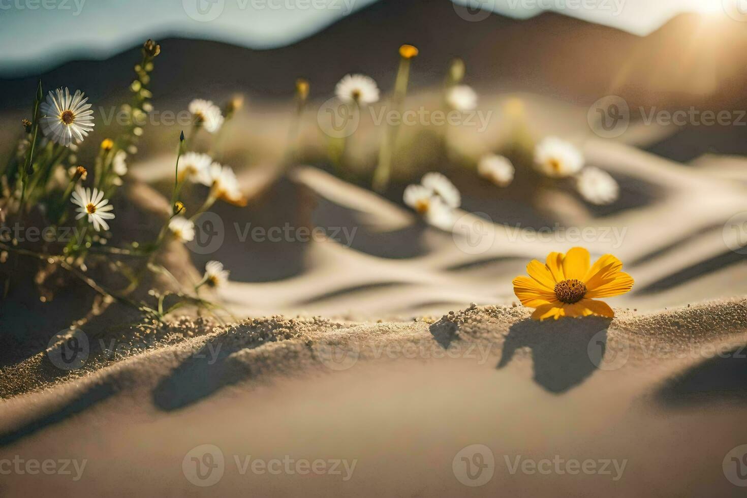 a deserto flores estão dentro a Sol. gerado por IA foto