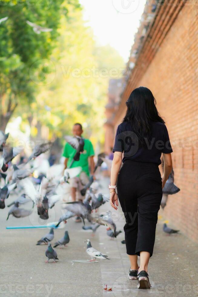 ásia turistas viajando e levando dentro vistas do antigo cidade parede dentro Chiang maio, tailândia, sozinho dentro verão. costas Visão do jovem fêmea turista levando andar levando dentro Visão do cidade parede e cópia de espaço foto