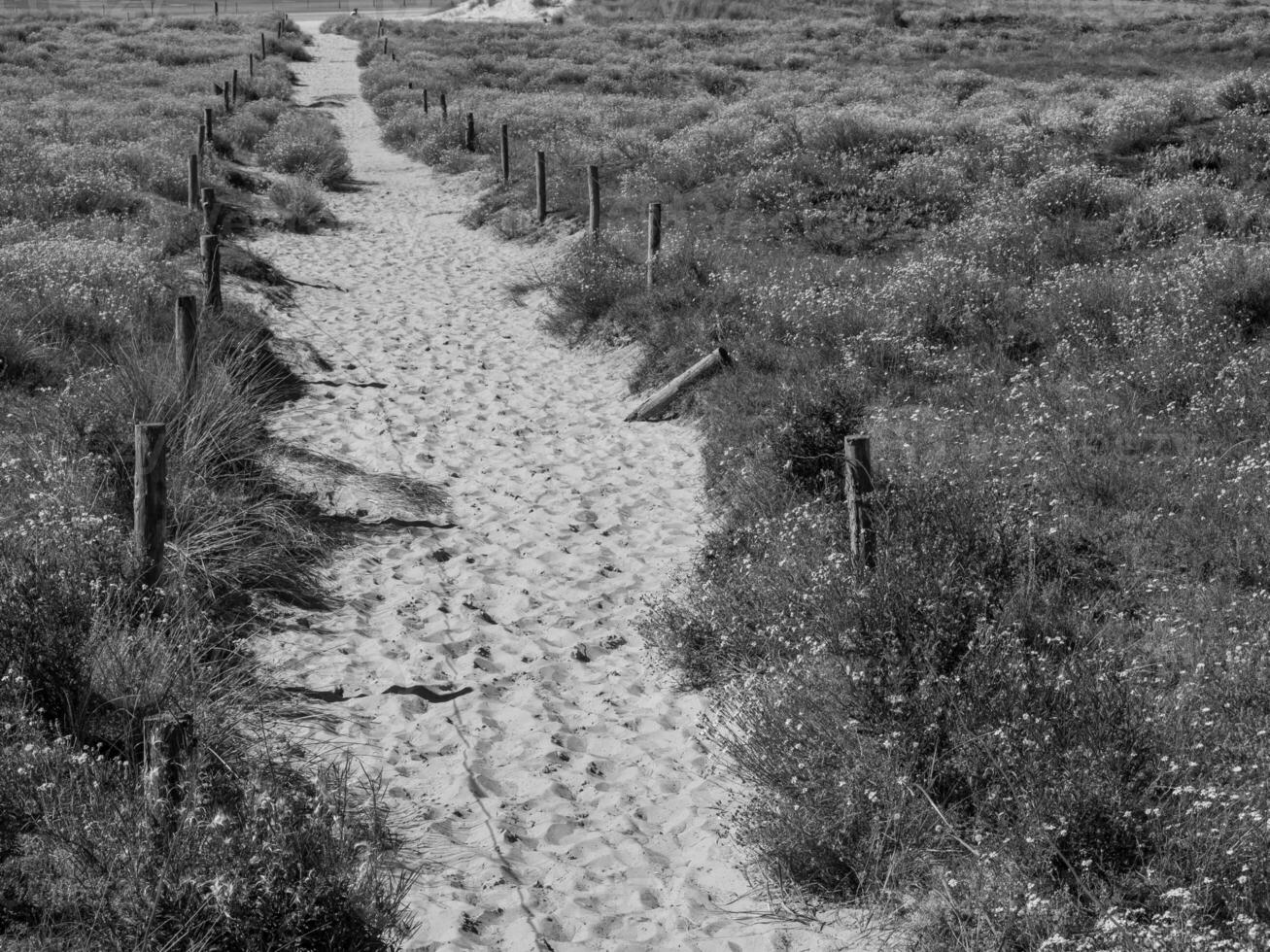 ilha langeoog no mar do norte foto