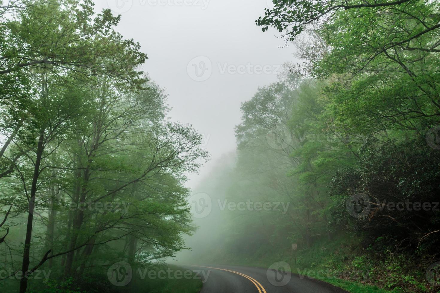 de manhã cedo pela avenida Blue Ridge na primavera foto