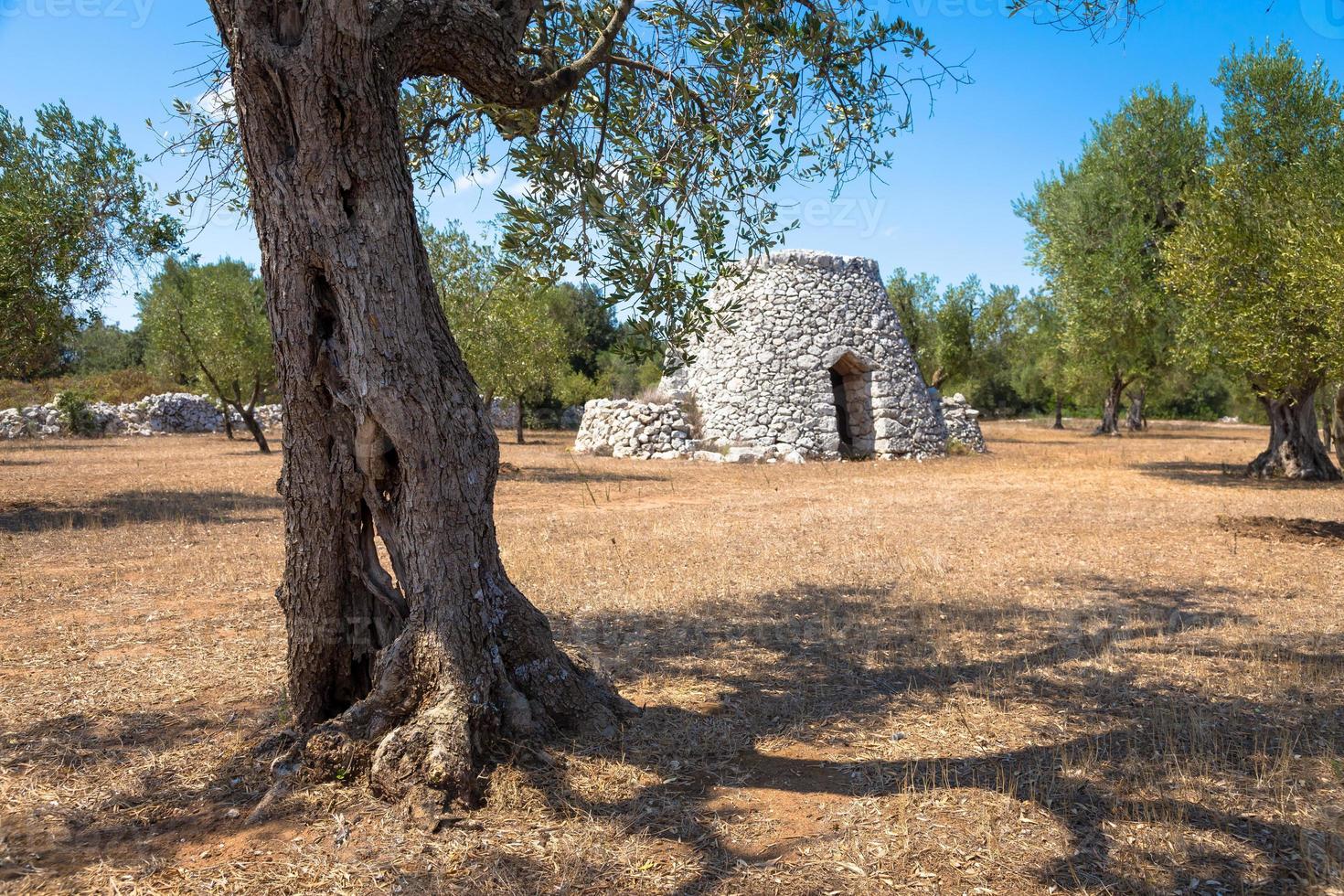 região de puglia, itália. armazém tradicional feito de pedra foto