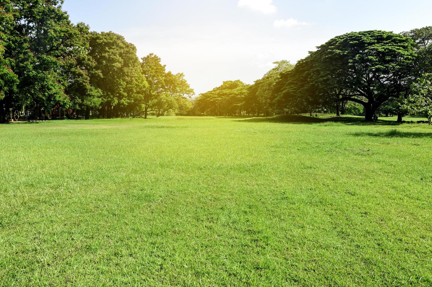 Parque Verde. visão da natureza da grama verde no jardim. conceito de ecologia foto