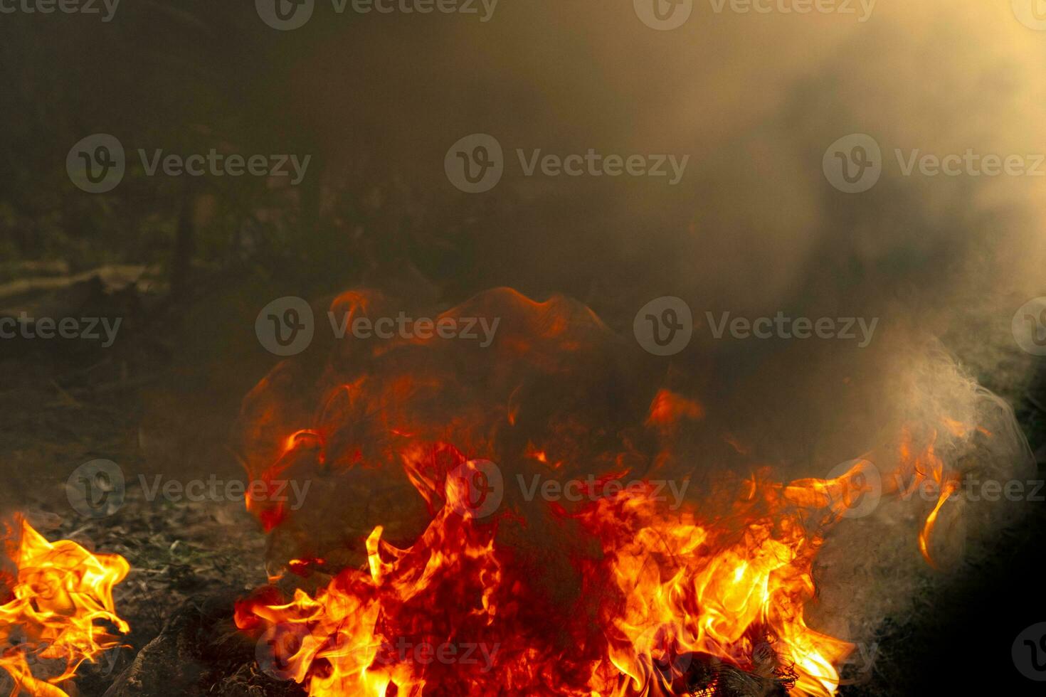 em chamas de fogo foto