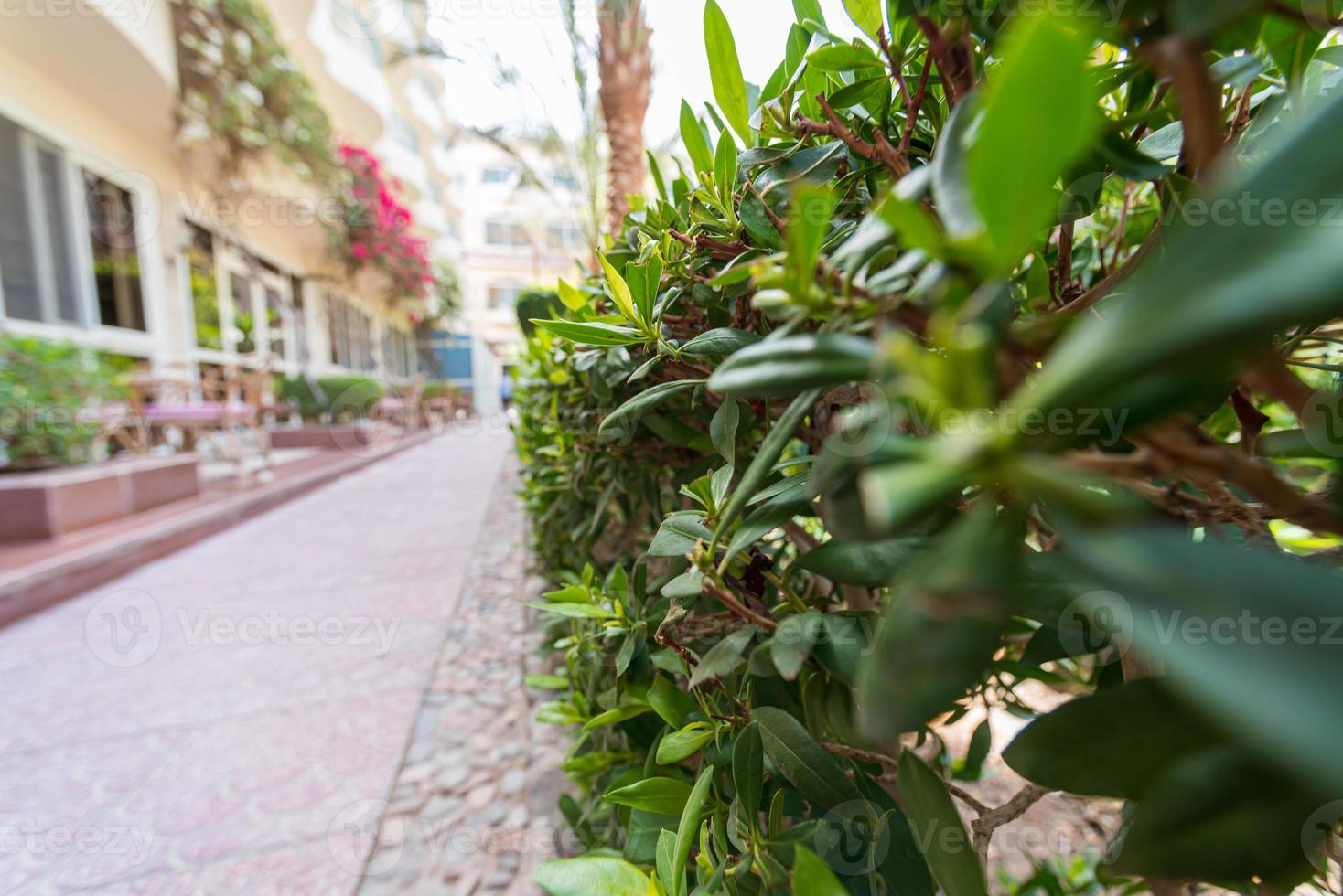 rua vazia sem pessoas durante o bloqueio e isolamento foto