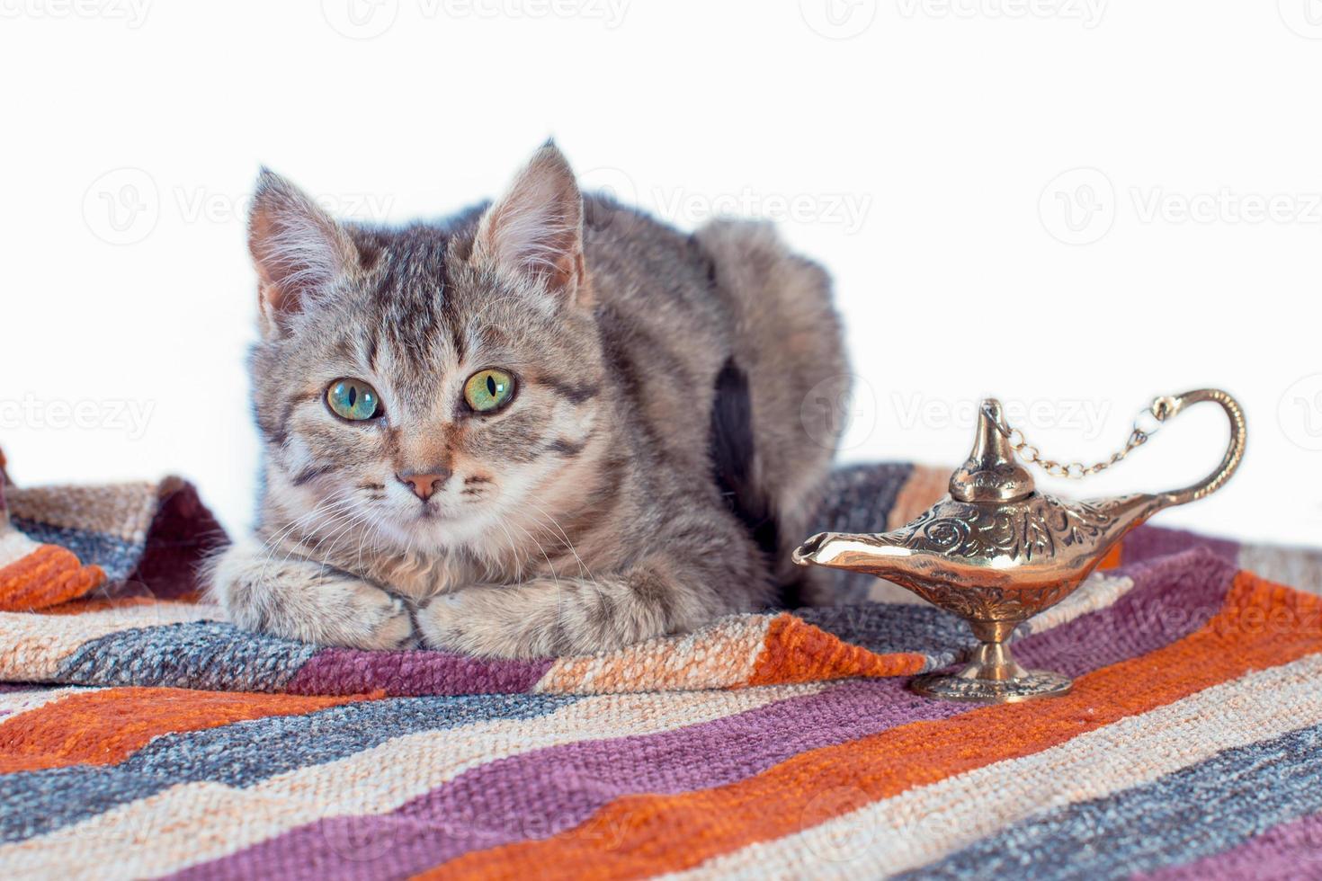 gato malhado com tapete oriental e lâmpada de latão foto