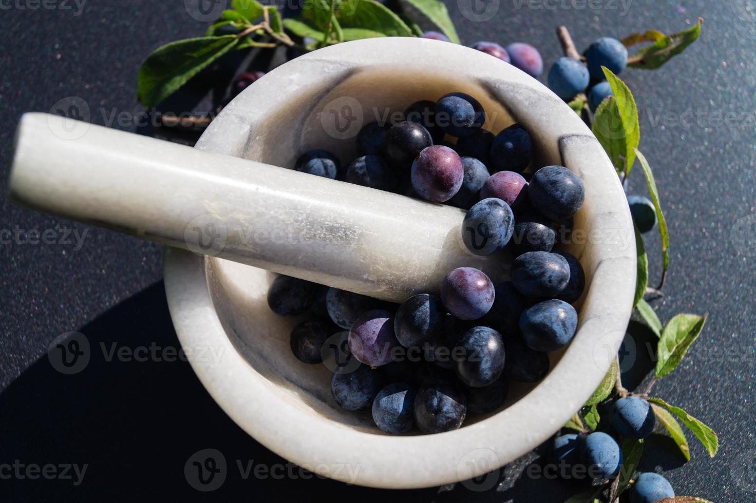 frutos do arbusto de abrunheiro foto