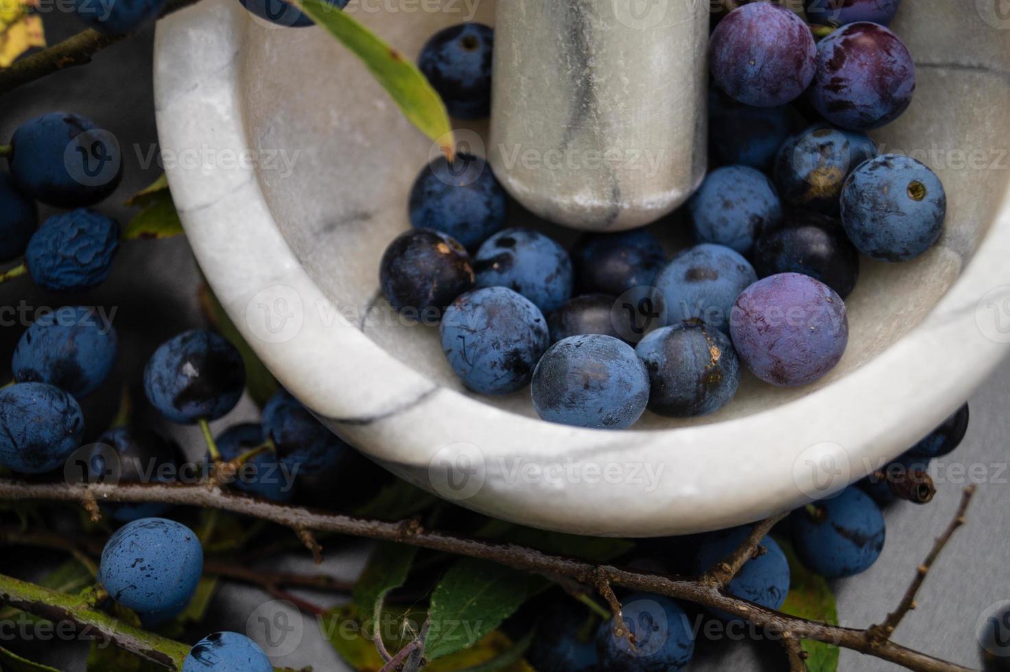 frutos do arbusto de abrunheiro foto