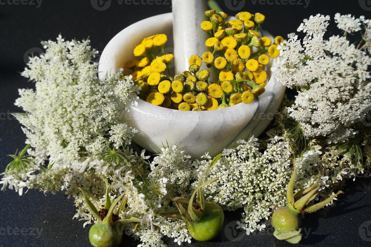 medicina natural - fármacos naturais sem receita foto