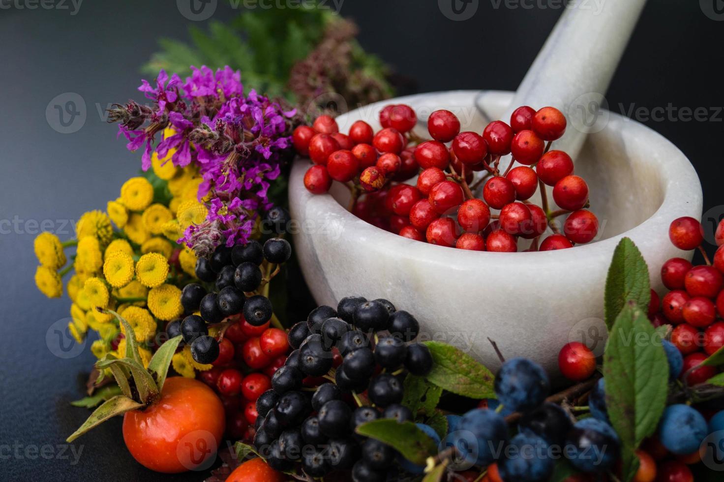 medicina alternativa com frutas e bagas de ervas farmacêuticas foto