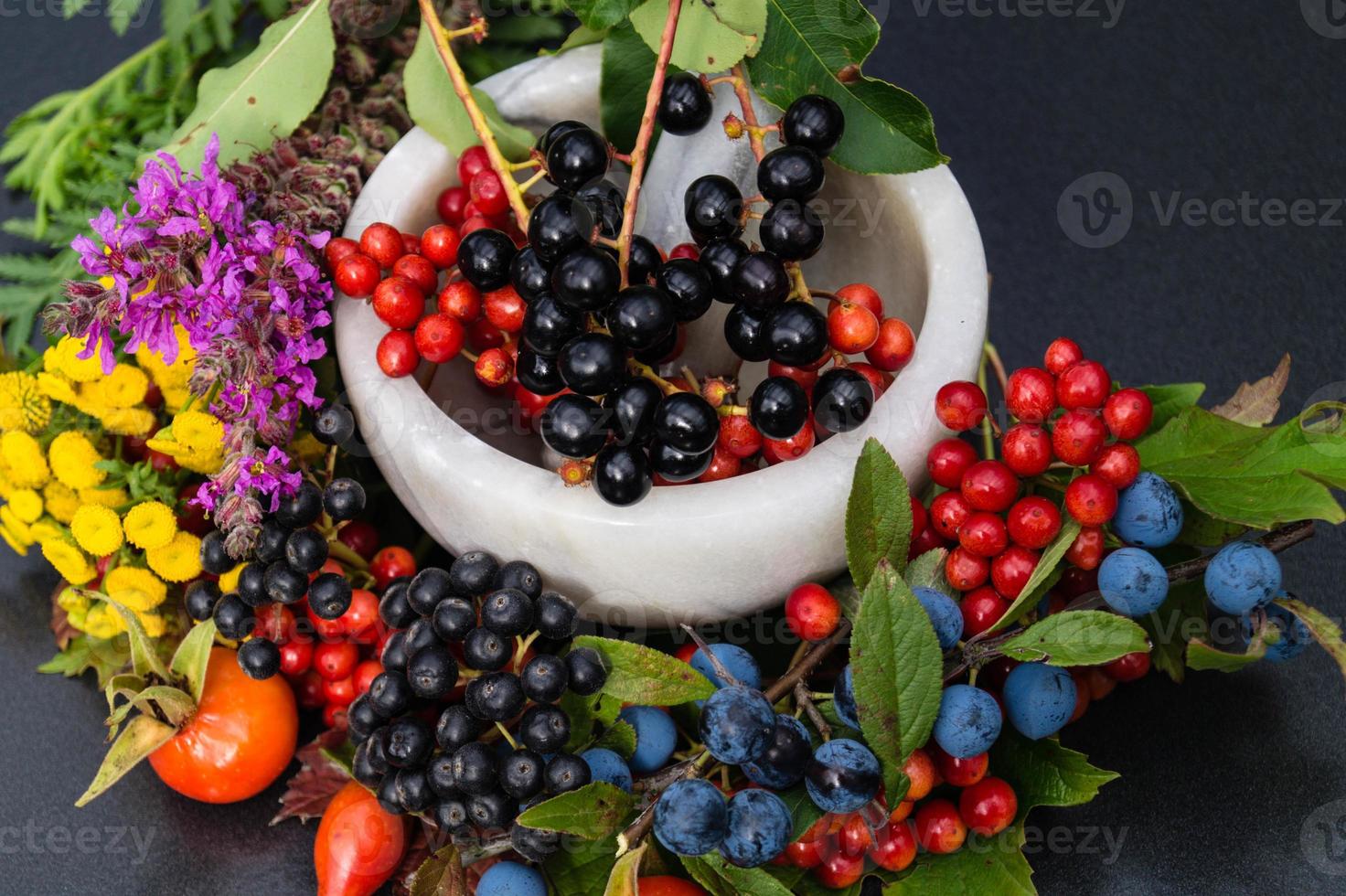 medicina alternativa com frutas e bagas de ervas farmacêuticas foto