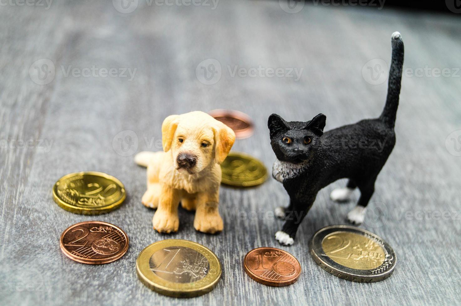 quais são os custos de um animal de estimação foto