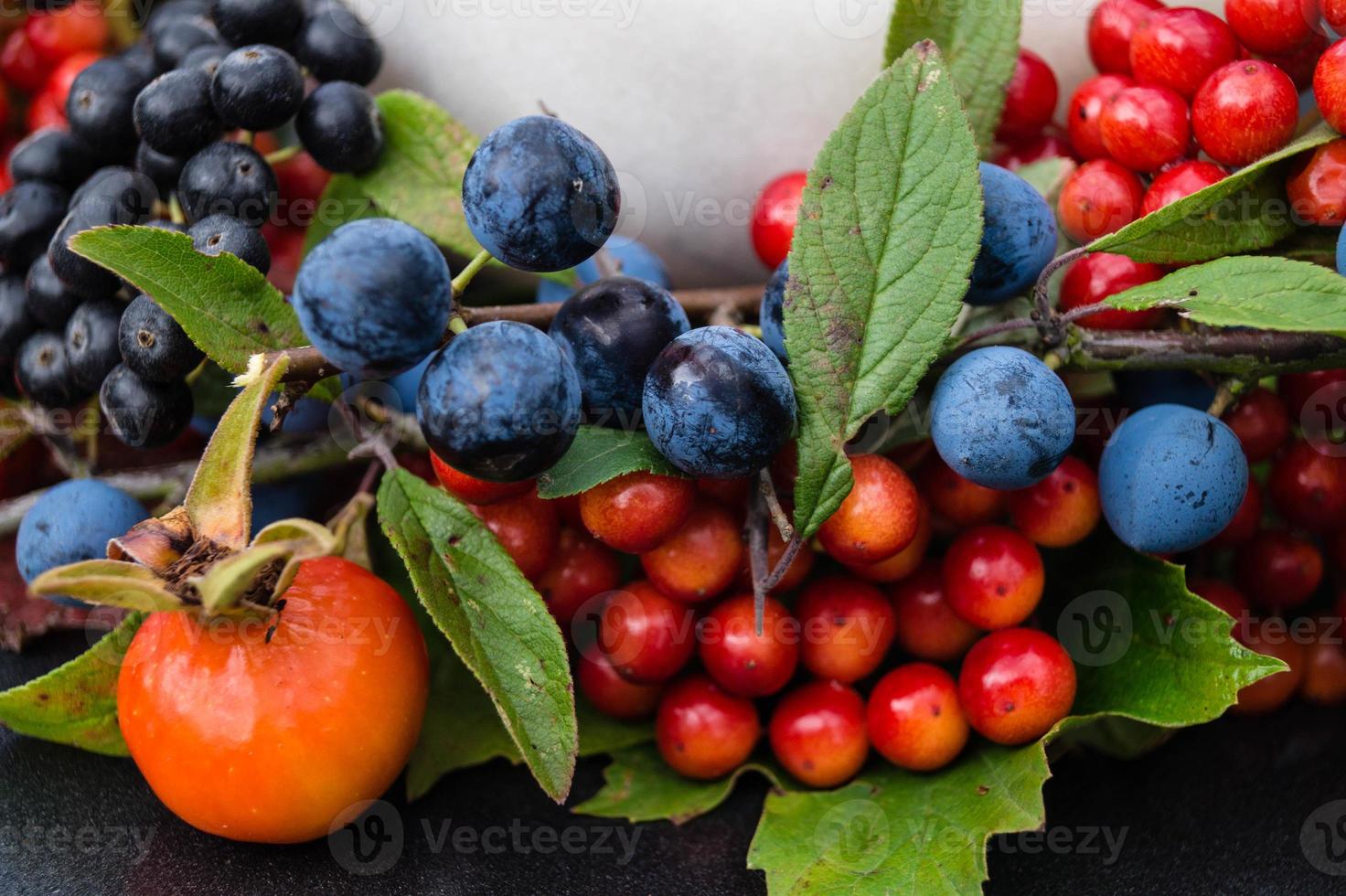 medicina alternativa com frutas e bagas de ervas farmacêuticas foto