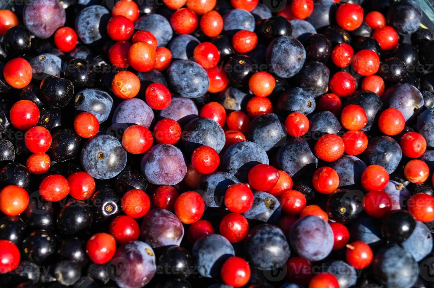 medicina alternativa com frutas e bagas de ervas farmacêuticas foto